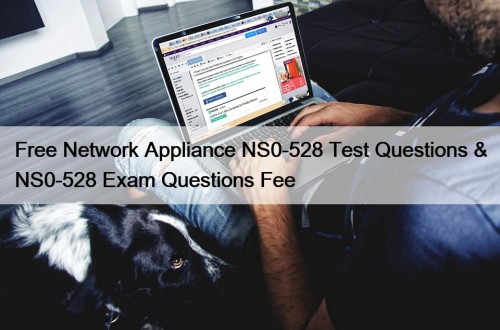 Free Network Appliance NS0-528 Test Questions & NS0-528 Exam Questions Fee